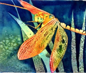 Dragonfly 8x10