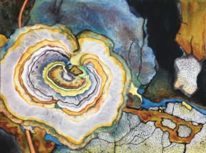 natures-abstracts-lichen